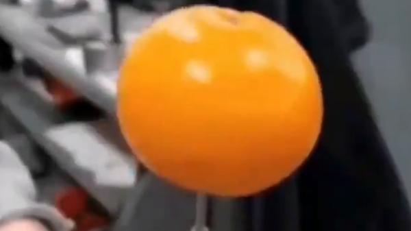 روشی جالب برای کندن پوست نارنگی و پرتقال
