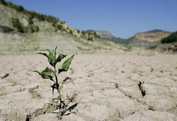 کاهش 6.9 درصدی بارش های سال زراعی نسبت به پارسال