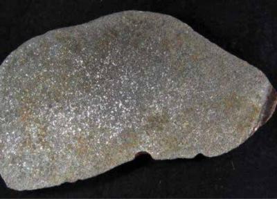 عکس ، گنج بسیار کمیابی که خیلی اتفاقی پیدا شد