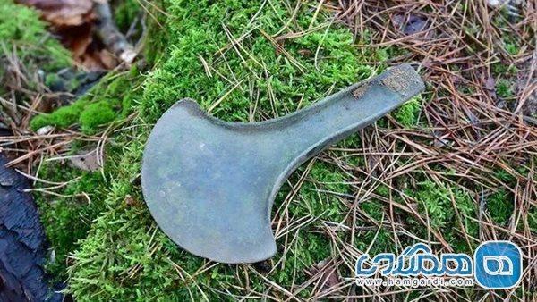 کشف مجموعه ای از تبرهای چند هزار ساله در یکی از جنگلهای لهستان